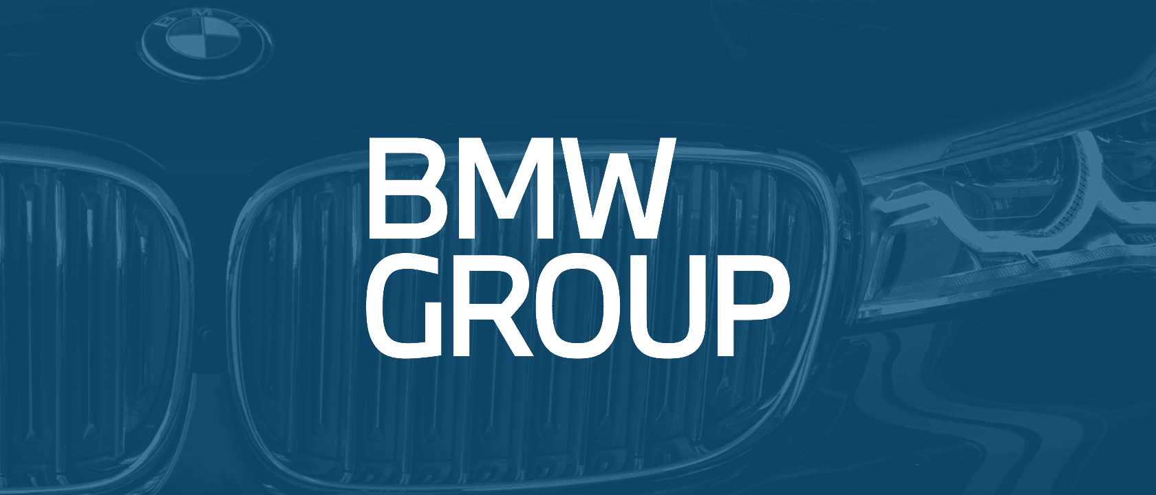 BMW Group Logo